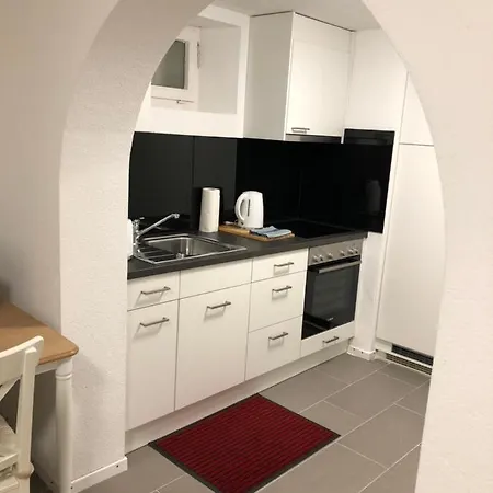 Apartment Matten 1